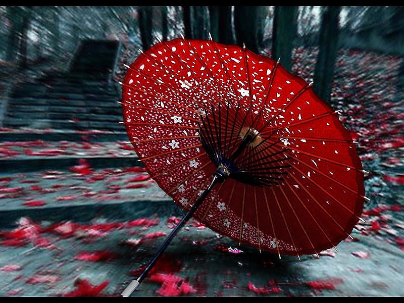Japanese Umbrella, red, pretty, forest, japanese, umbrella, abstract, graphy, staircase, oriental, HD wallpaper