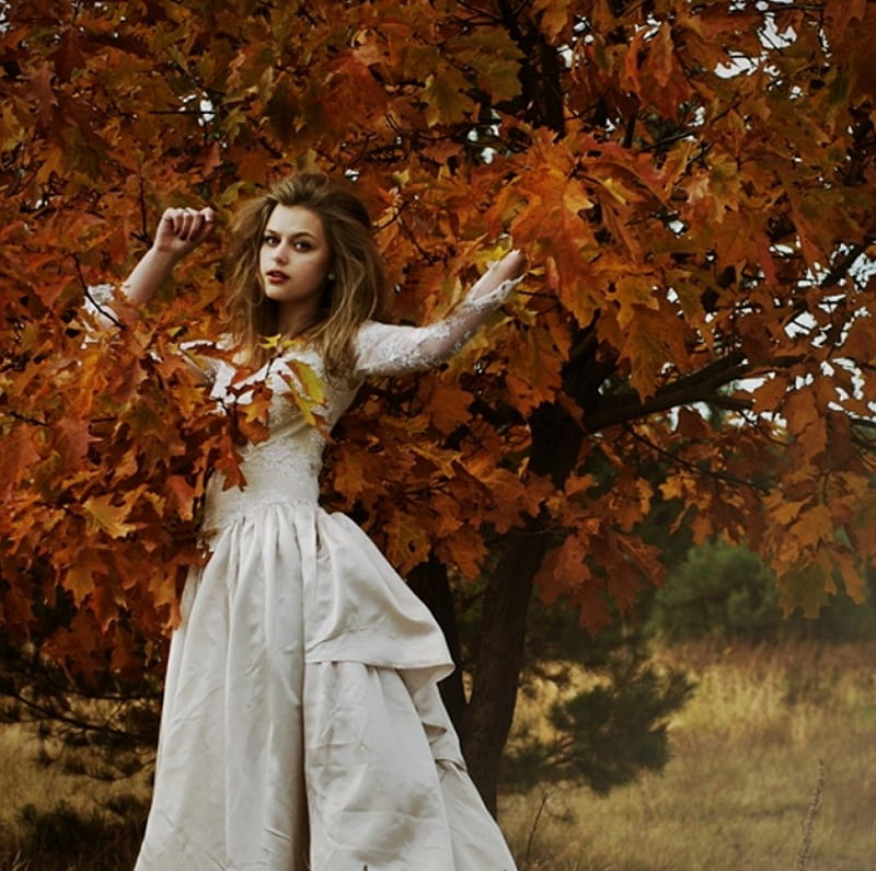 Lemon Tree, tree, autumn, model, lady, HD wallpaper