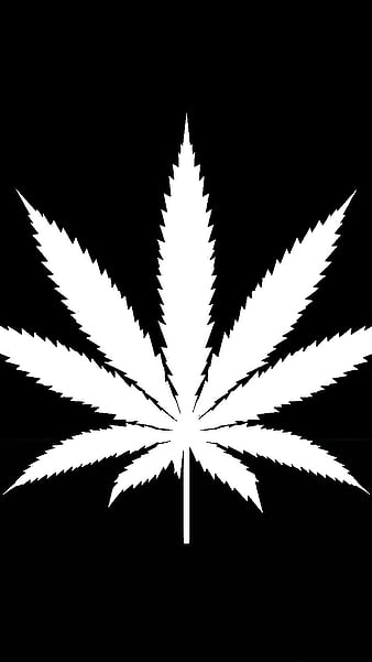 Dope Weed Wallpapers  Top Free Dope Weed Backgrounds  WallpaperAccess