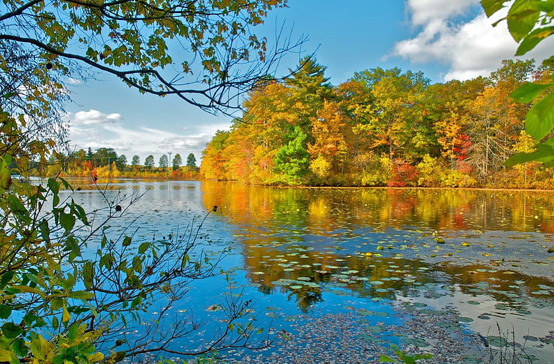 Autumn landscape, fall, autumn, shore, falling, clea, bonito, clouds ...