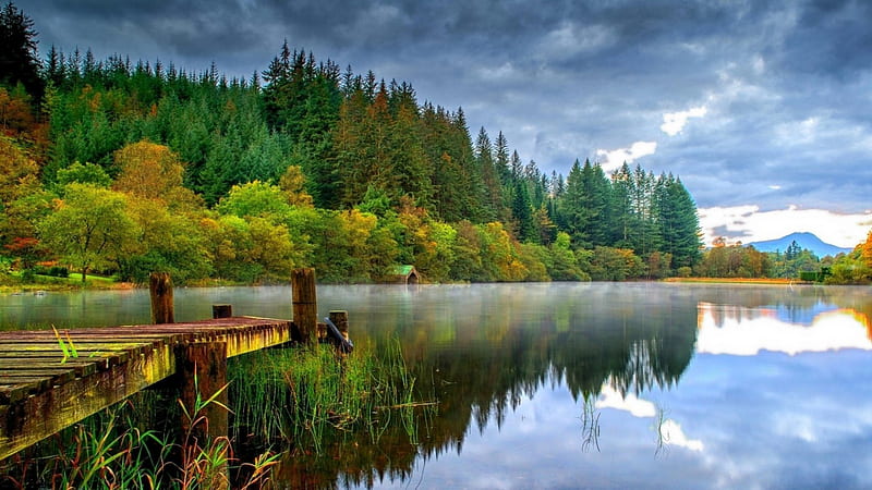 Lake Forest, forest, boathouse, trees, clouds, lake, green, dark, nature, reflection, HD wallpaper