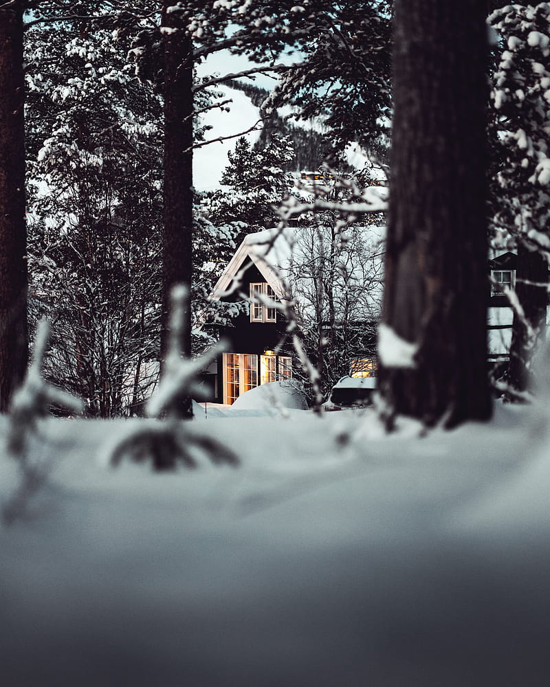 house, forest, snow, winter, HD phone wallpaper
