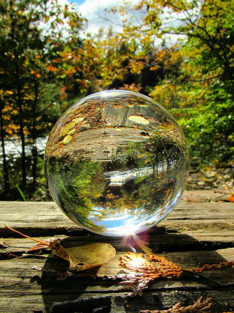 Breathtaking , background, glass ball, leaves, grapher, graphy, plants, HD phone wallpaper