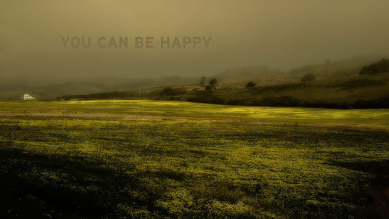 You Can Be Happy Adult Swim, HD wallpaper