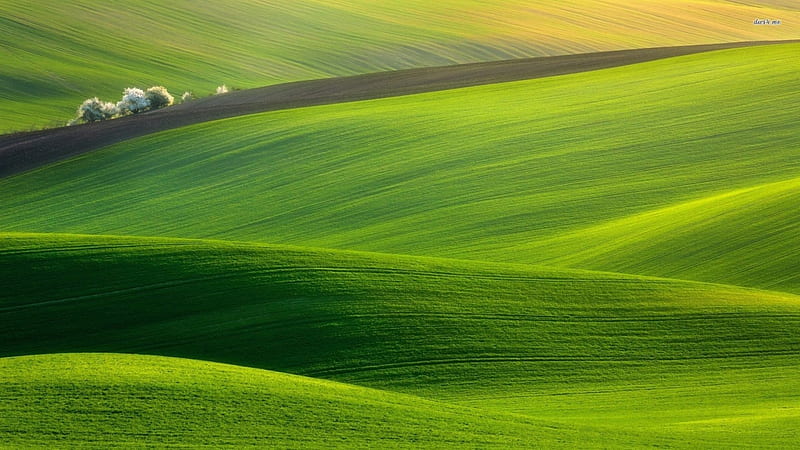 Green Hills, hills, green, grass, nature, fields, bonito, HD wallpaper