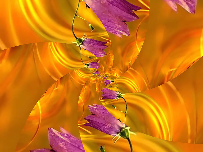 Flower Bell Dorset Fractal, art, dorset, fractal, flower, digital, nature, HD wallpaper