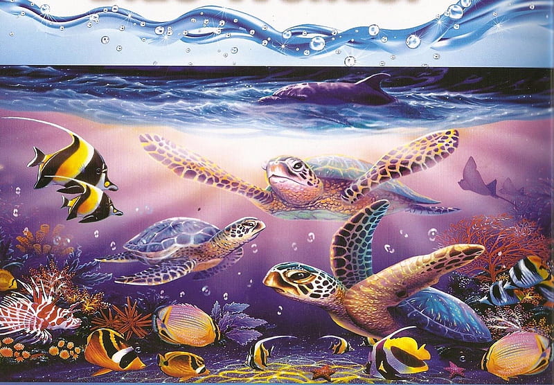 UNDER THE SEA, marine life, water, fish, ocean, turtle, sea, HD wallpaper