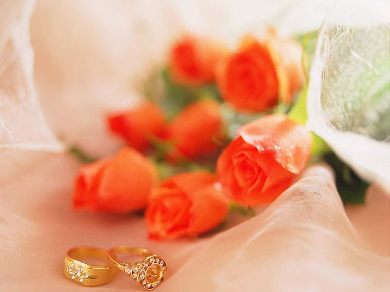 Match made in Heaven !!, engagement, roses, ring, wishes, HD wallpaper