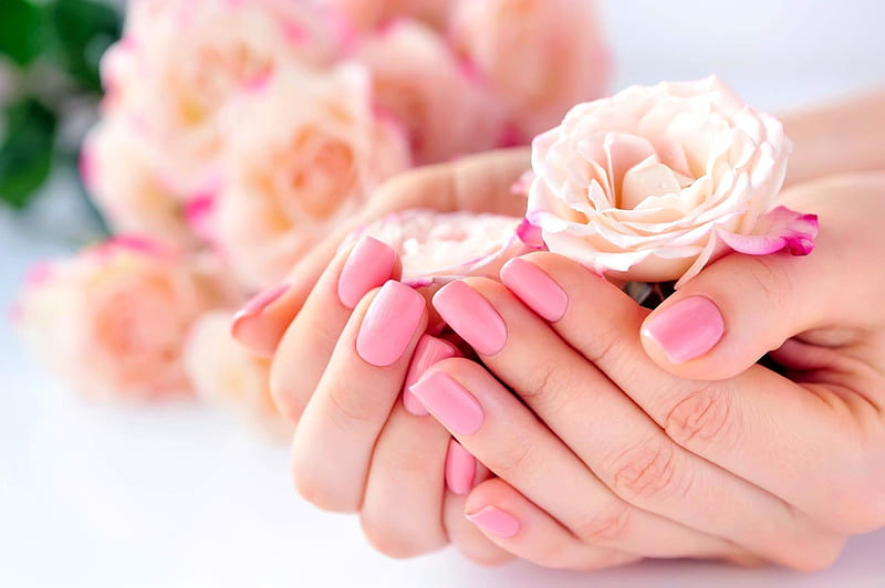 Roses, Hands, Woman, Manicure, HD wallpaper