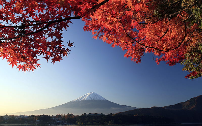 View Of Mount Fuji, HD wallpaper