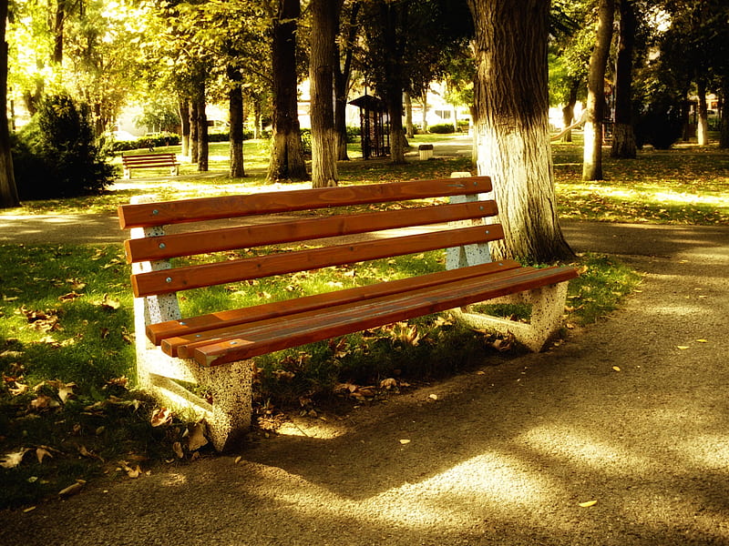 Park Bench, grass, orange, kitty, bench, park, trees, green, effects, nature, hop, obzor, landscape, bulgaria, HD wallpaper