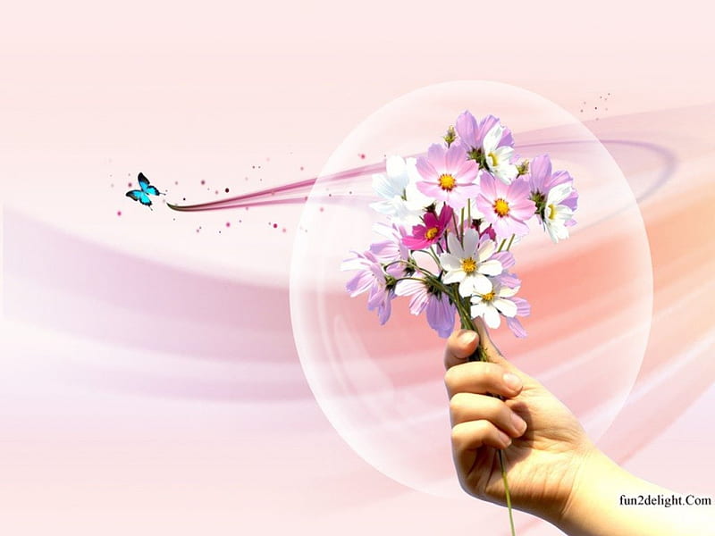 COSMOS DREAM, hands, daisies, balloons, bubbles, flowers, butterflies, cosmos, pink, HD wallpaper