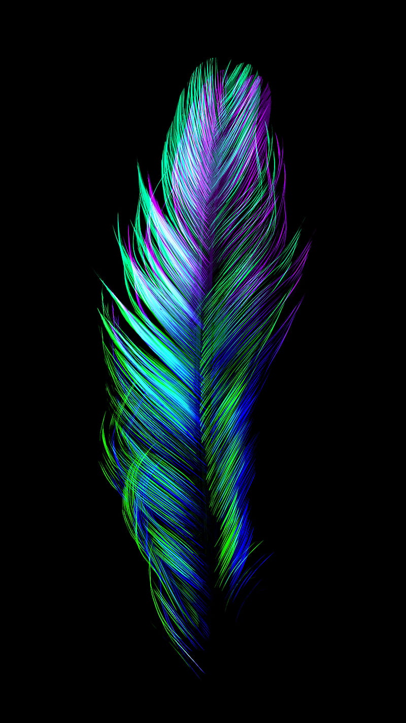 Glitch Feather AMOLED, bird, contrast, minimal, oled, organic, true black, vibrant, HD phone wallpaper
