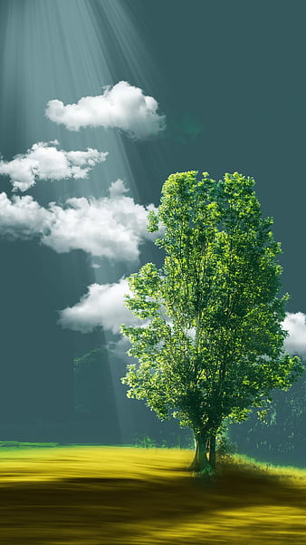 Lonely green tree, clouds, green tree, nature, single, sunrays, HD phone  wallpaper | Peakpx