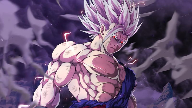 Gohan's New Form, Gohan Beast, HD wallpaper