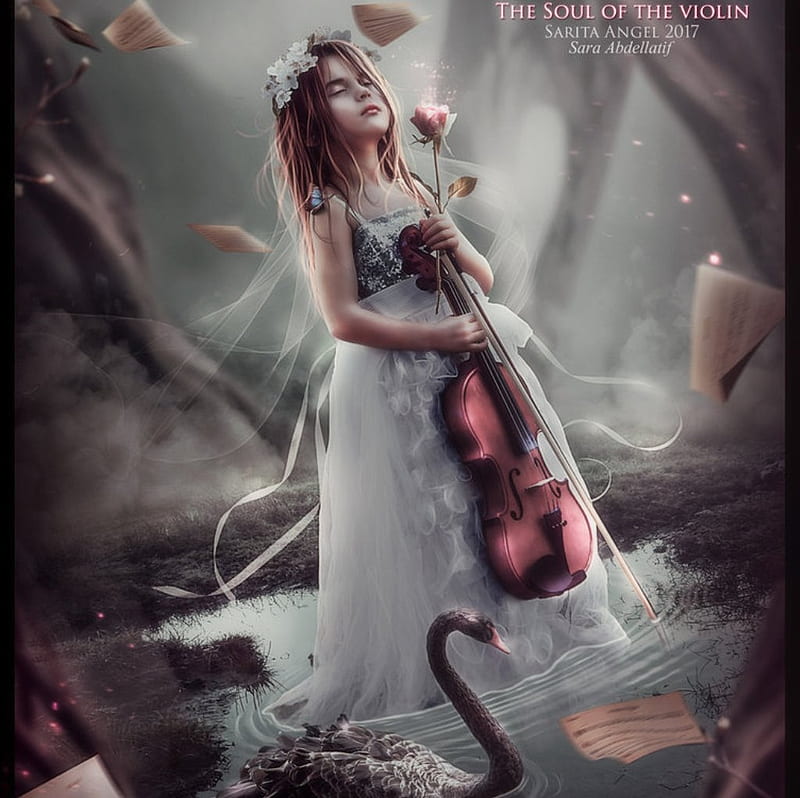 The Soul of Violin, violin, swan, notes, music, HD wallpaper | Peakpx
