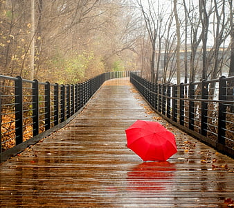Rainy Day, awesome, love, HD wallpaper