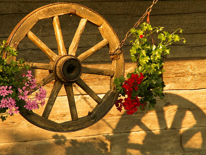 Wooden Wheel, flowers, wheel, wooden, wood, HD wallpaper