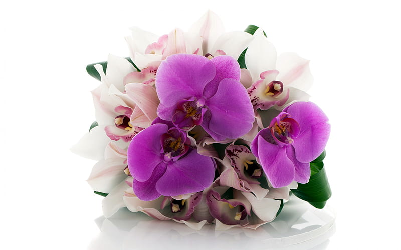 bouquet of orchids, wedding bouquet, orchids, bridal bouquet, purple orchids, beautiful flowers, orchids on a white background, floral background, HD wallpaper