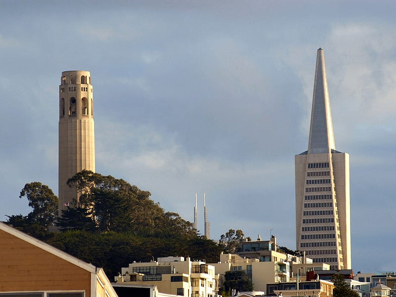 San Francisco Skyline F1, graphy, transam, coit tower, cityscapes, san francisco, HD wallpaper