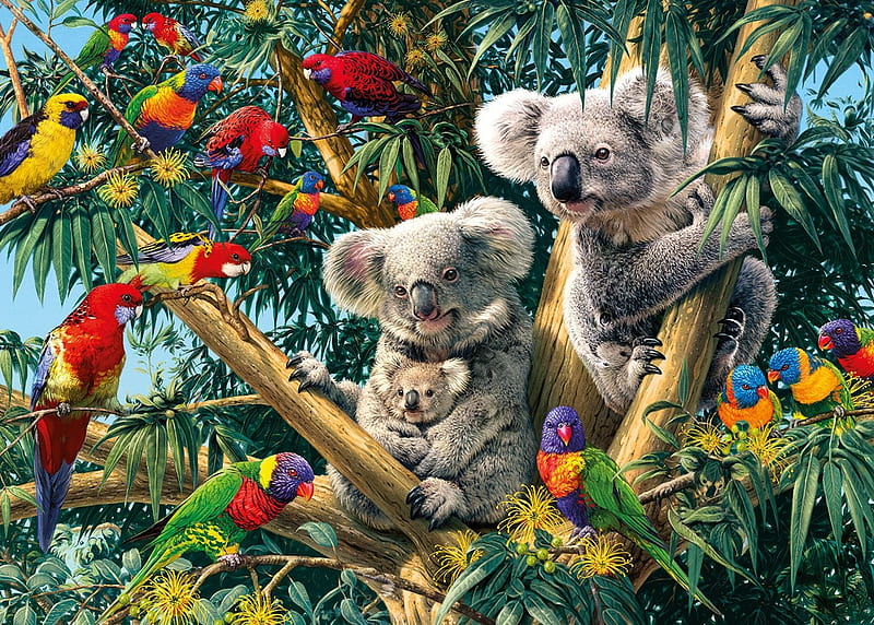 Cuddly koalas, red, art, steve read, pasare, bear, yellow, koala, parrot, animal, cute, tree, green, bird, painting, pictura, HD wallpaper