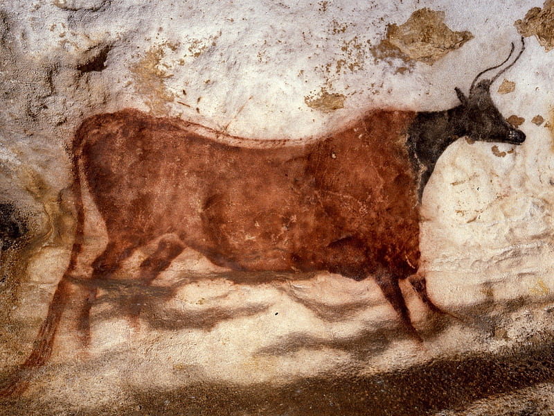 Wall art in the Caves of Lascaux, lascaux, wonderful, stunning, religious, spiritual, caveman, animism, nice, art parietal, colored, homo sapiens, cool, france, paleolithic, neanderthal, awesome, history, caves, bulls, wall art, bonito, old, cave graphy, stone, wild, painting, cavemen, prehistory, bull, animals, amazing, ancient, colors, drawing, prehistoric, prehistoire, HD wallpaper
