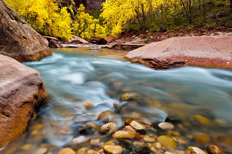 National Park, Zion National Park, River, Rock, Stone, HD wallpaper