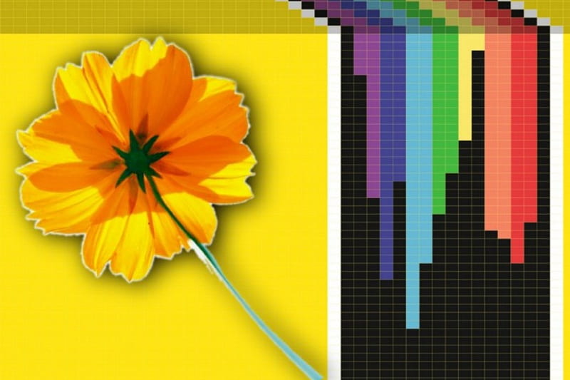 Iris, flor, color, optica, Fondo de pantalla HD | Peakpx