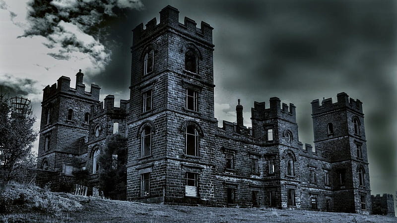 tree #ruin ghost castle ghost house #ruins haunted castle haunted house #cloud #history #abandoned #creepy #chateau #sky med. Ghost house, Haunted castle, Castle, Spooky Castle, HD wallpaper