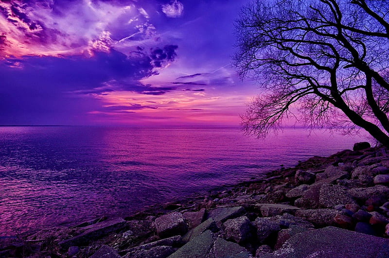 Lilac evening, lilac, pretty, shore, bonito, mirrored, afternoon, nice, calm, stone, horizons, river, evening, reflection, quiet, lovely, sky, waetr, tree, tranquil, serenity, purple, summer, nature, HD wallpaper