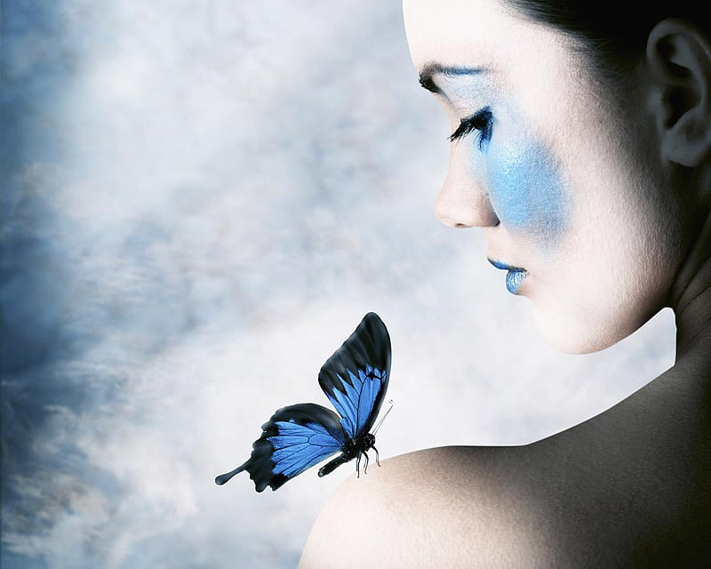  Mariposa, azul, maquillaje, animal, Fondo de pantalla HD