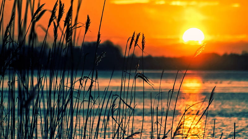 Crops Sunset Lake Nature, HD wallpaper