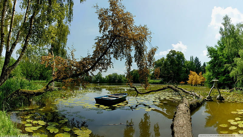 rowboat on a park lake, boat, statue, lilies, trees, lake, HD wallpaper