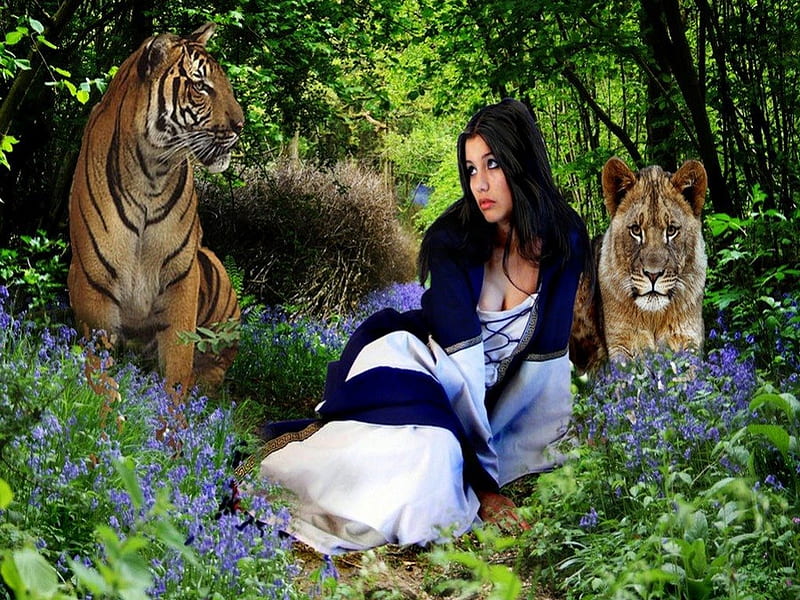 Guardians, forest, wildcats, woman, animals, HD wallpaper