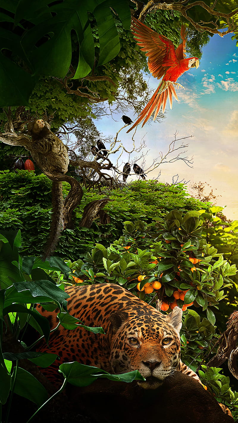 Jungle, animals, bird, forest, jaguar, nature, parrot, HD phone wallpaper |  Peakpx