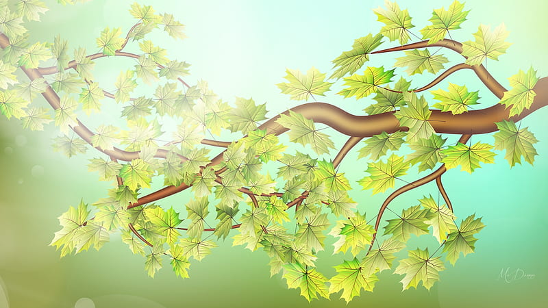 Awaiting Spring, tree, leaves, maple, green, sunlight, summer, spring, Firefox Persona theme, HD wallpaper