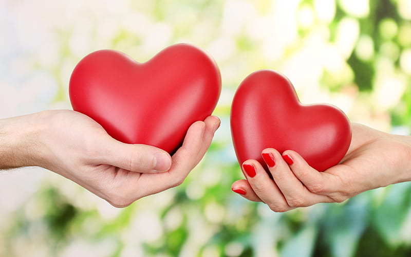 hearts in hands love concepts, two hearts, hands, green blurred background, HD wallpaper