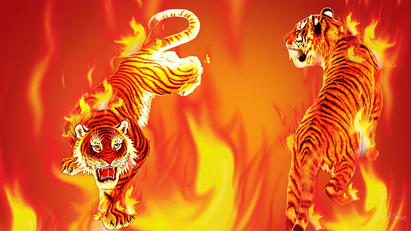 Tiger Flame II, fire, flames, hot, tiger, cat, HD wallpaper