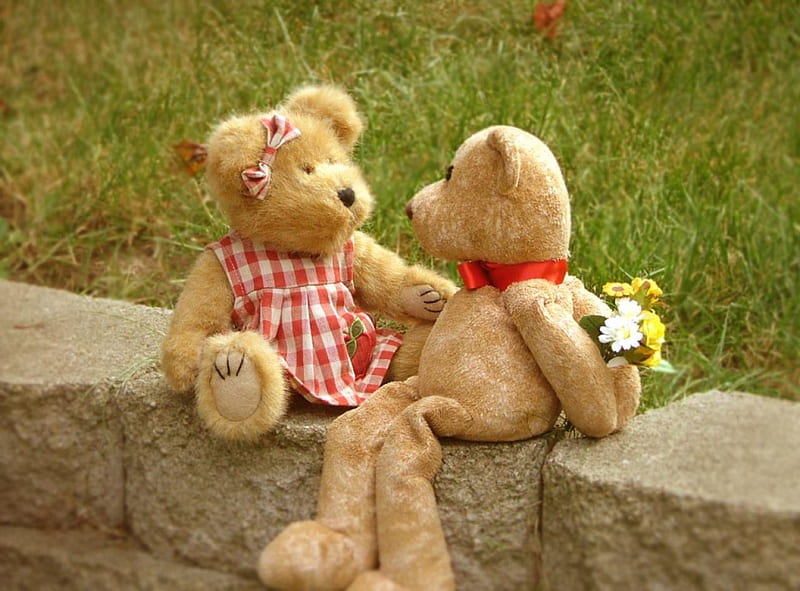 Proposal☺, love, together, siempre, precious, bears, proposal, animals, HD wallpaper