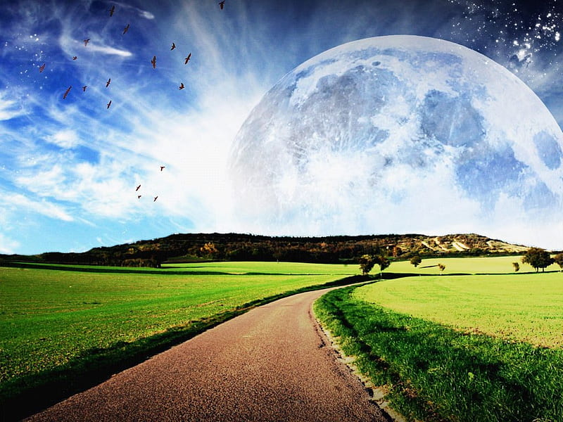 Open moon, moon, green, grass, clouds, sky, blue, HD wallpaper