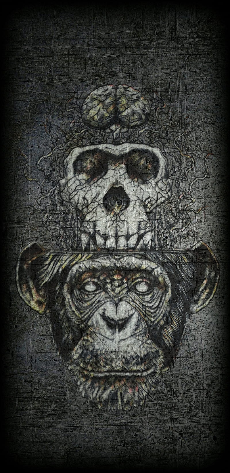 Primate Skull, monkey, ape, grunge, brain, dark, awesome, best, HD phone wallpaper