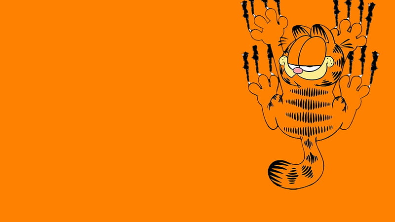 Garfield, cartoons, cute, tv, HD wallpaper