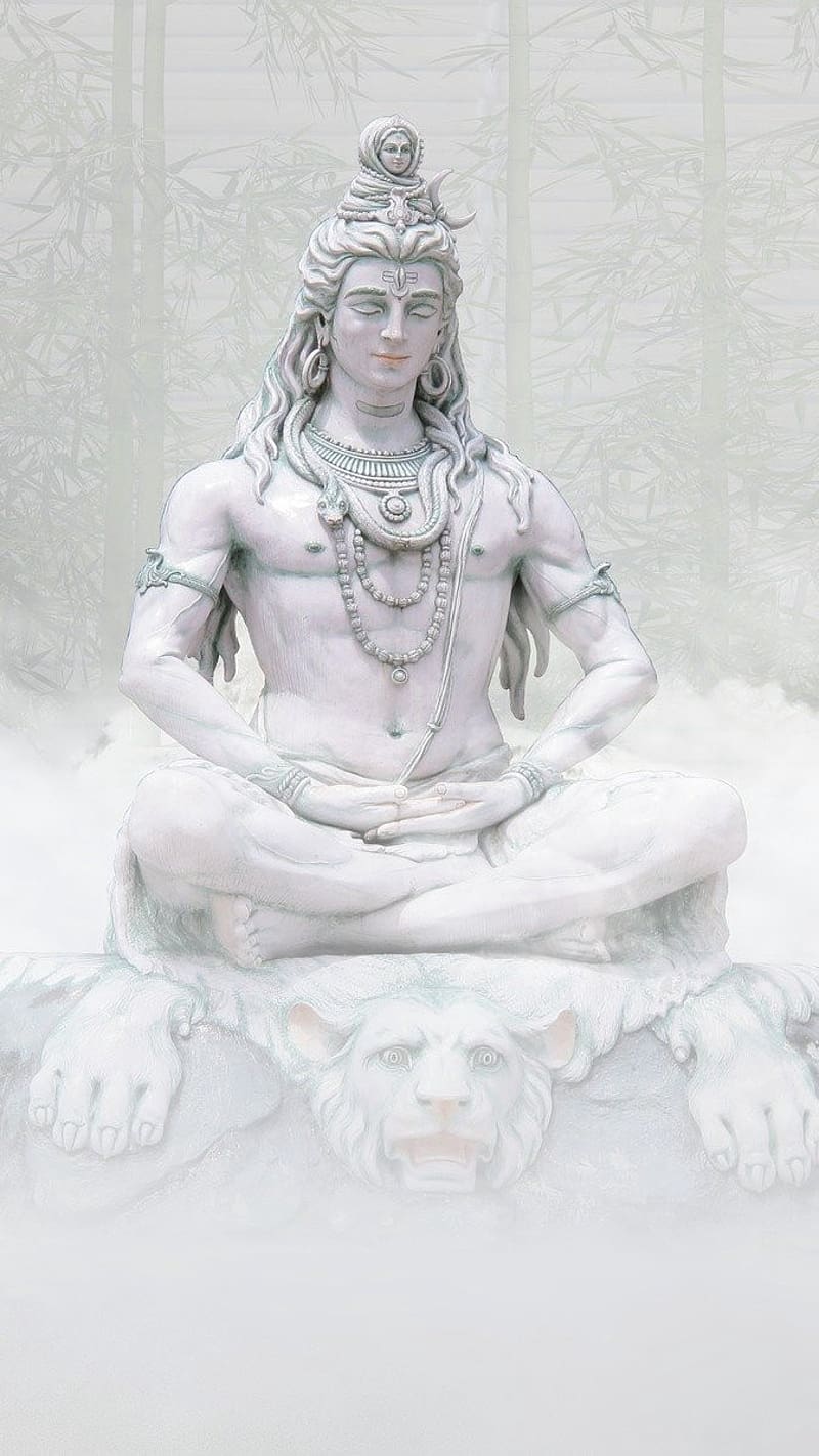 Best Bholenath Shiva protects his children, best bholenath, shiva protects his children, HD phone wallpaper