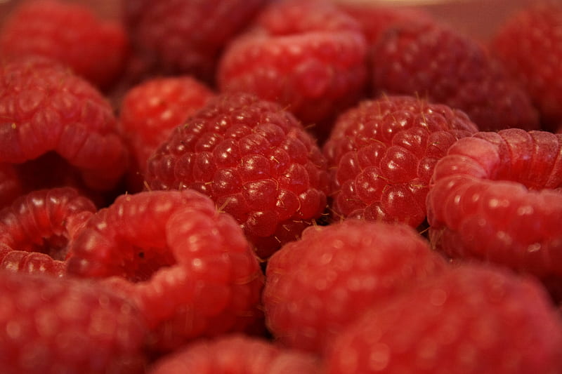 raspberry, berry, fruit, macro, red, HD wallpaper