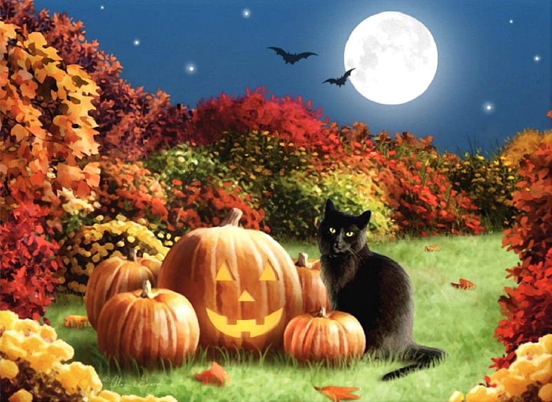Autumn Midnight, moons, fall season, autumn, halloween, colors, love four seasons, attractions in dreams, cat, leaves, paintings, moonlight, garden, nature, pumpkins, HD wallpaper