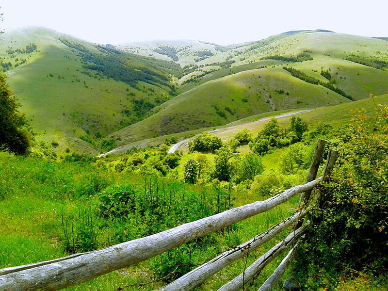 green hills, Artana, Kosovo, Marevc, Hills, HD wallpaper