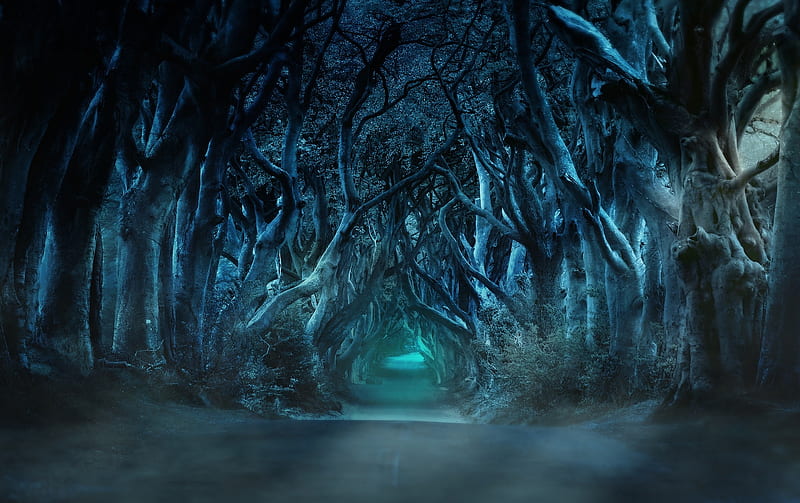 Top 59+ imagen haunted woods background - Thpthoanghoatham.edu.vn