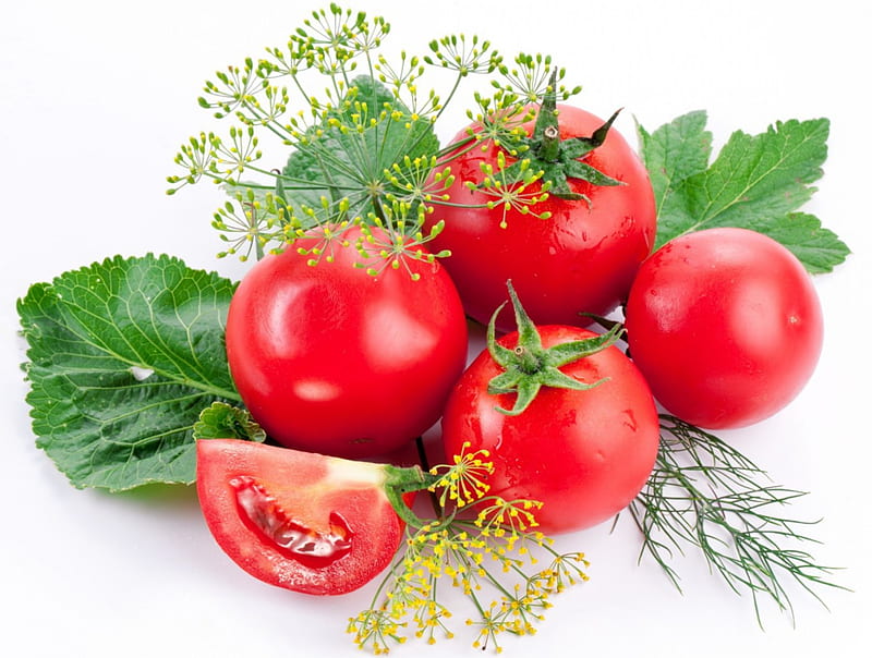 Tomatoes, red, tomato, leaves, graphy, food, vegetables, HD wallpaper