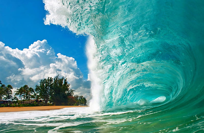 Breaking Wave, Hawaii, bonito, Oahu, trees, clouds, sea, wave, beach, tube, sand, green, summer, island, white, blue, HD wallpaper