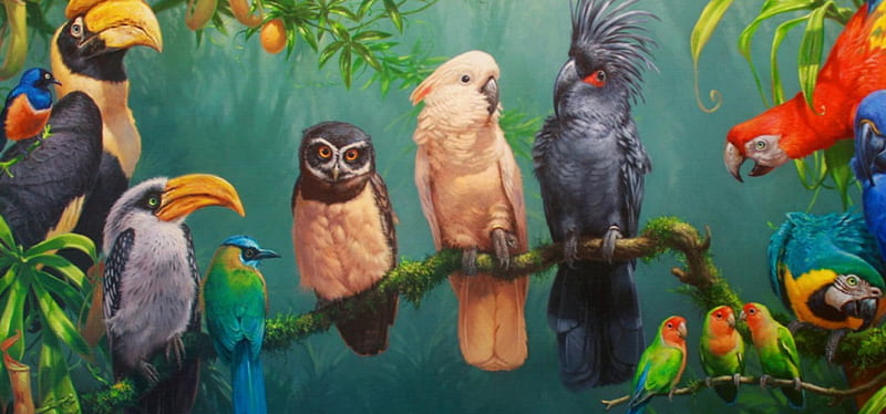 Birds on branch, pretty, colorful, art, exotic, birds, bonito, parrot, branch, leaves, paradise, feather, painting, tropics, HD wallpaper